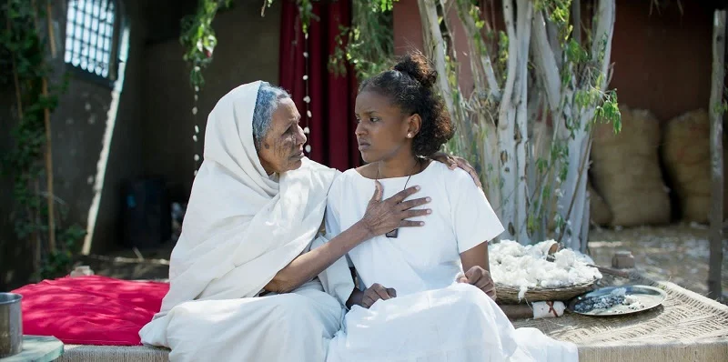 "ملكة القطن" يبدأ عروضه في السينمات المصرية