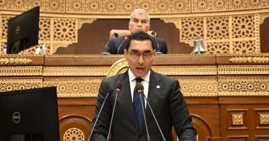 وزير الشباب: 65% من سوق القمار للمراهنات وألعاب الكازينو