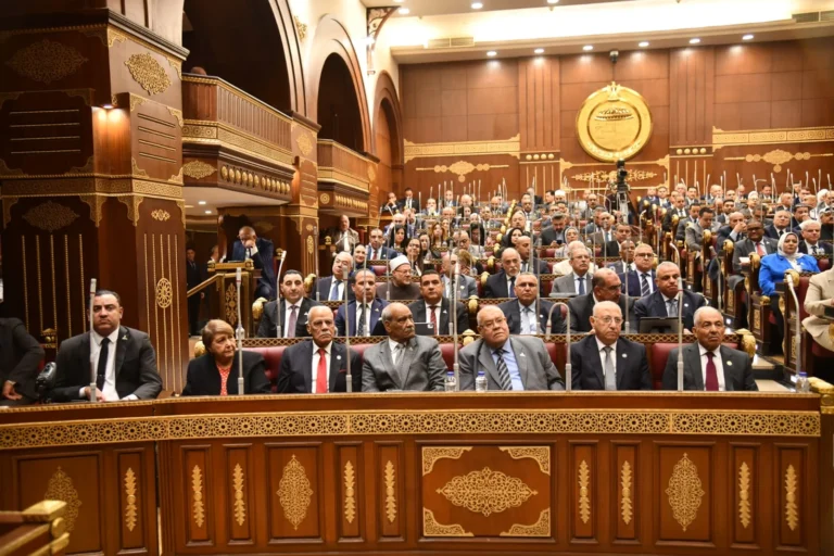 تطوير مراكز الشباب ضرورة ملحة لنجاح الرياضة المصرية