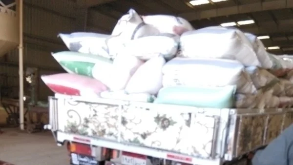 محافظ المنوفية يتابع إمدادات القمح ويحقق 9 ألاف طن