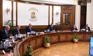 رئيس الوزراء يتابع خطط تنمية سيناء