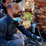 يوم حقلي لتدريب المزارعين على مكافحة سوسة النخيل بالإسماعيلية