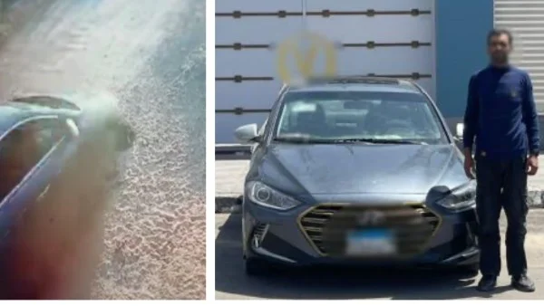 تفاصيل حادثة اصطدام سيارة بكلب ضال في الإسماعيلية