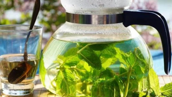 الشمر والنعناع: أعشاب فعّالة للتخلص من الغازات