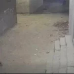 تأجيل محاكمة المتهمين في قضية “طفل باسوس” إلى مايو المقبل