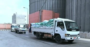 150 ألف طن قمح تموين الوادي الجديد