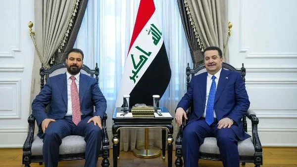 ضرورة تشكيل حكومة عراقية قادرة على مواجهة الأزمات