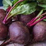 فوائد تناول البنجر يومياً لجسمك