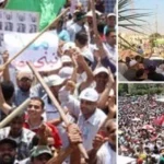 انتهاكات الإخوان: استغلال الأطفال وتزوير الحقائق