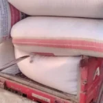 الدقهلية: 22 ألف طن قمح تم توريدها للصوامع