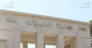 تغيير اسم حديقة الحيوان بالجيزة إلى جنينة الحيوانات
