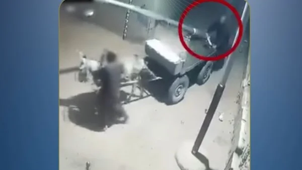 نقل عمود كهرباء بالدقهلية: تفاصيل جديدة من الداخلية