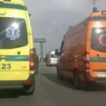 إصابة شخصين بسقوط من سقالة في نبروه بالدقهلية