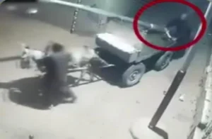 نقل عمود كهرباء أمام منزل مواطن في الدقهلية