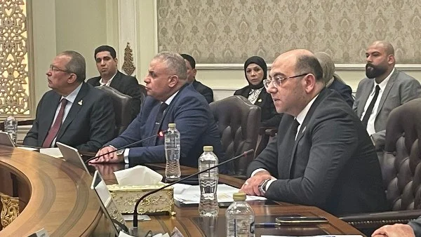 جلسة برلمانية لبحث مستقبل الصحة في مصر
