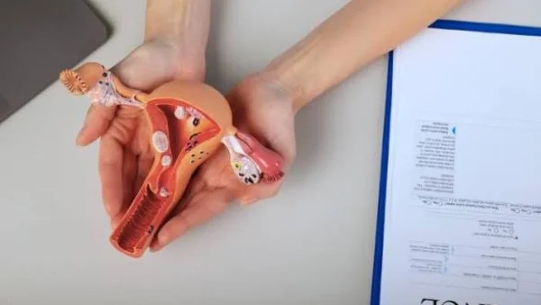 أعراض الرحم ذو القرنين وتأثيره على الحمل