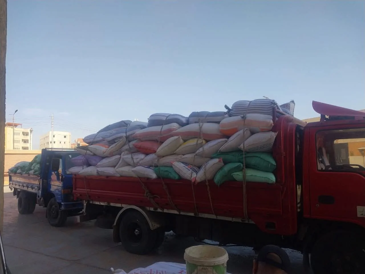 28 ألف طن قمح في محافظة الدقهلية