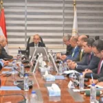 مصر والصين تبحثان إنشاء مجمع لصناعة إطارات السيارات