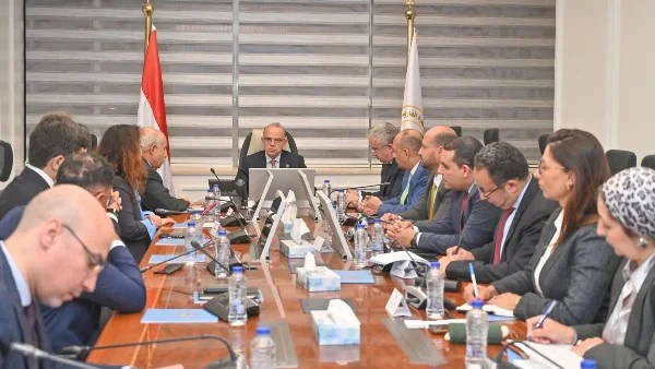 مصر والصين تبحثان إنشاء مجمع لصناعة إطارات السيارات