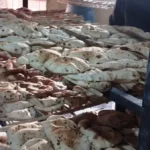 أسوان: تحرير 35 محضرًا لمخالفات المخابز البلدية