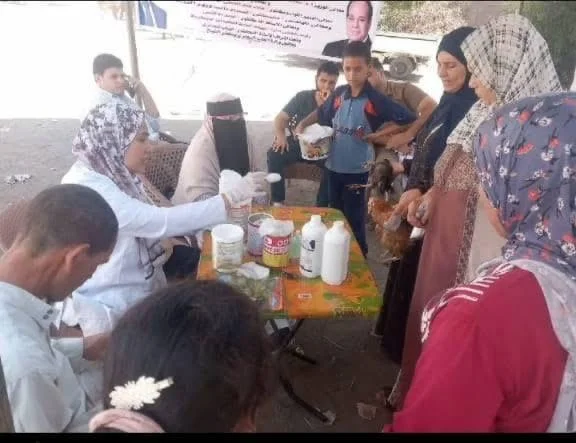تحصين 178430 طائرًا ضد الأمراض الوبائية في كفرالشيخ