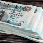 موعد صرف معاشات مايو 2026 وخطوات الاستعلام