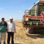 بدء حصاد القمح في الإسماعيلية وتوجيهات لضمان التوريد