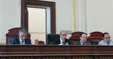 إحالة تاجر خضار للمفتى لقتل سائق سرقة بالإسكندرية