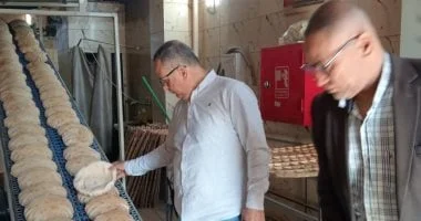 ضبط 109 مخالفات تموينية في الدقهلية