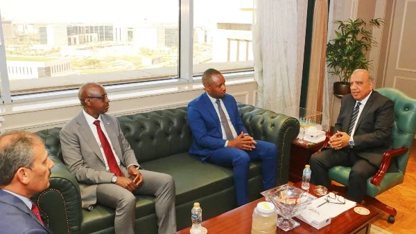 تعزيز التعاون الكهربائي بين مصر ورواندا