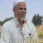 تصالح بين طرفي قضية سرقة القمح بالشرقية