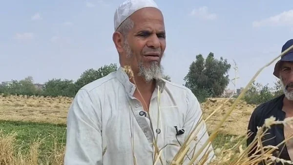 تصالح بين طرفي قضية سرقة القمح بالشرقية