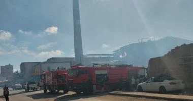 السيطرة على حريق في مزرعة نخيل بالوادى الجديد