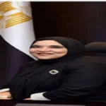 معلومات عن نائب رئيس هيئة الاستثمار الجديد