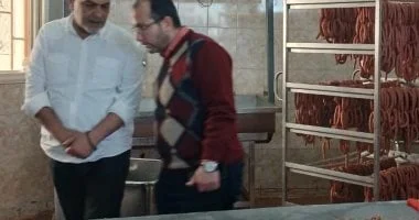 ضبط طن ونصف دواجن غير صالحة للاستهلاك في القليوبية