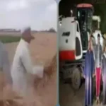 ضبط جناة سرقة محصول القمح بالزقازيق