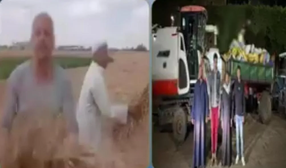 ضبط جناة سرقة محصول القمح بالزقازيق