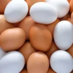 البيض والخضروات: نصائح غذائية هامة من استشاري التغذية