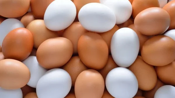 البيض والخضروات: نصائح غذائية هامة من استشاري التغذية