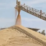 خطة متكاملة لتوريد القمح في أسوان