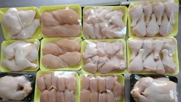 شريف عامر: الجدل حول هياكل الفراخ والفقر في مصر