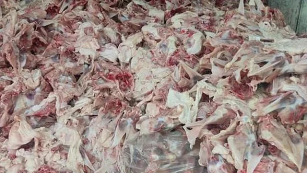 مخاطر تناول هياكل الفراخ على الصحة العامة