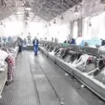 أقدم محلج قطن في مصر: تاريخ عريق وإنتاج متميز