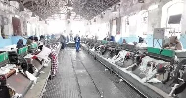 أقدم محلج قطن في مصر: تاريخ عريق وإنتاج متميز