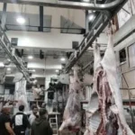 تطوير المجازر المصرية استعداداً لعيد الأضحى