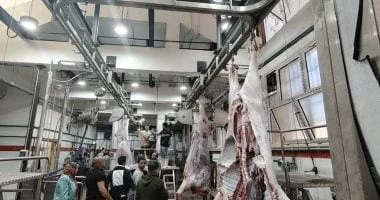تطوير المجازر المصرية استعداداً لعيد الأضحى