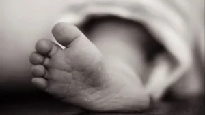 غموض وفاة رضيع بالصف: ثعبان أم جريمة قتل؟