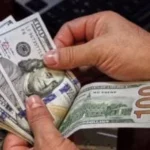 استقرار سعر الدولار مقابل الجنيه اليوم