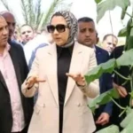 تحول استزراع سمكي في الوادي الجديد