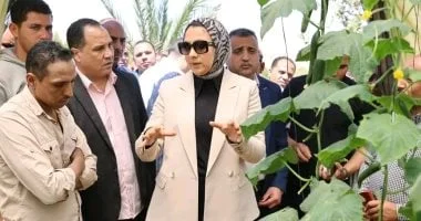 تحول استزراع سمكي في الوادي الجديد